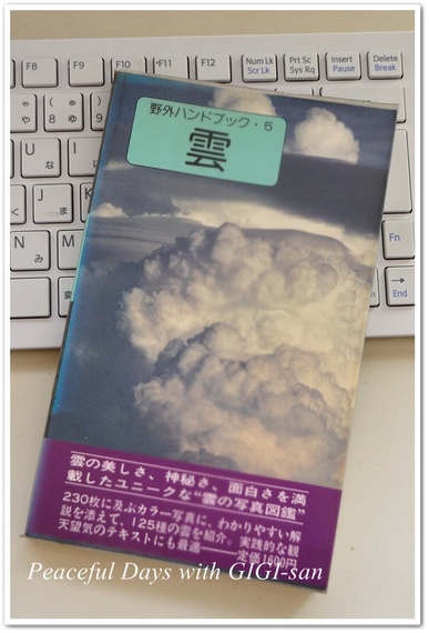 13雲の図鑑.jpg